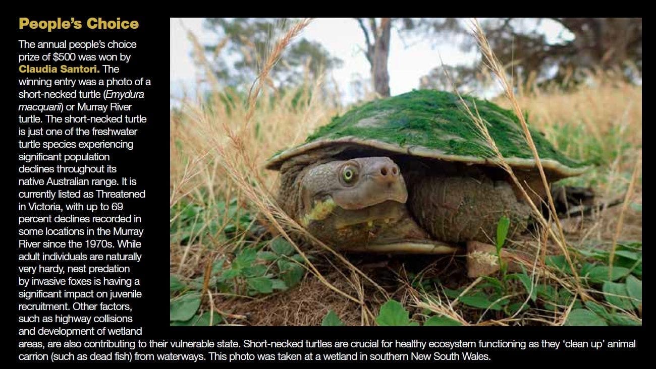 2019 Threatened Wildlife Photographic Competition | Australian Wildlife ...